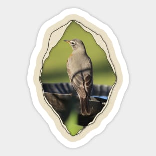 Robin on Birdbath In Tear Sticker